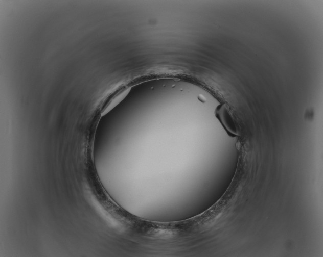 X0000089930352200707061044