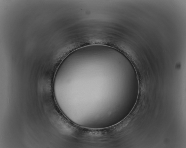 X0000089930353200707061044