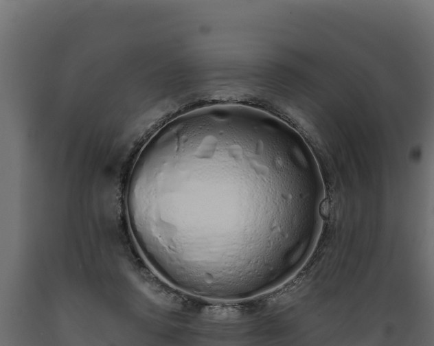 X0000089930354200707061044