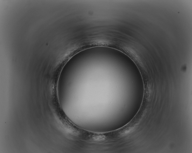 X0000089930355200707061044