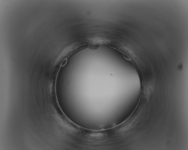 X0000089930357200707061044