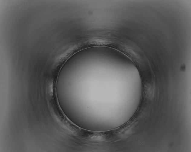 X0000089930358200707061044