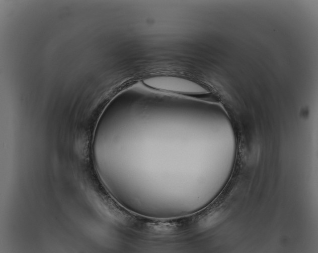 X0000089930359200707061044