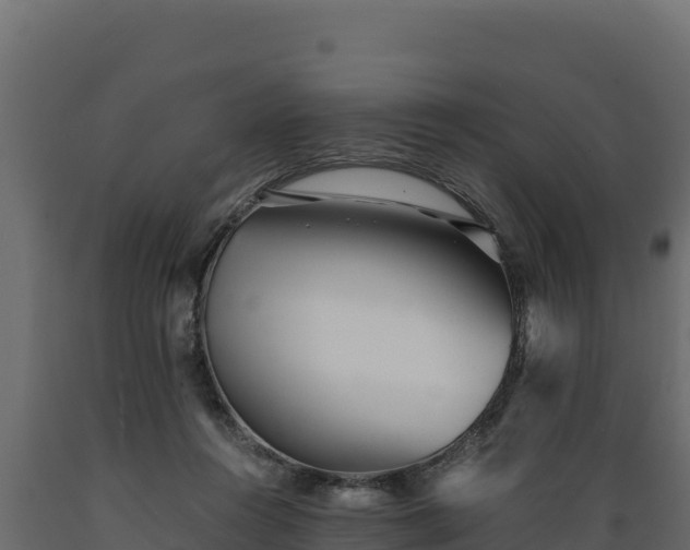 X0000089930360200707061044