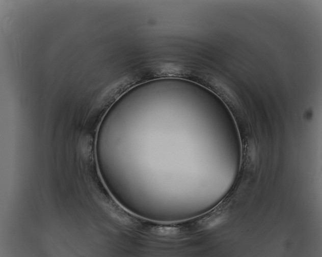 X0000089930361200707061044