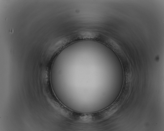 X0000089930362200707061044