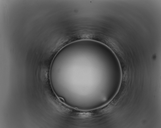 X0000089930363200707061044