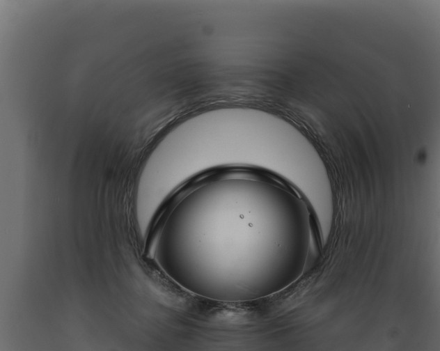 X0000089930364200707061044