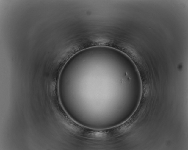 X0000089930365200707061044