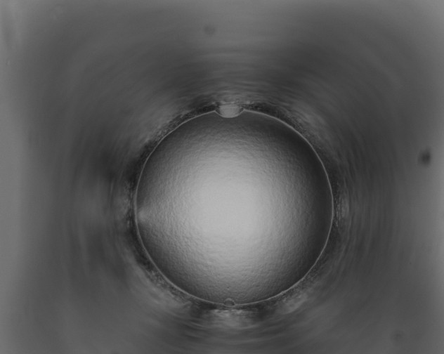 X0000089930367200707061044