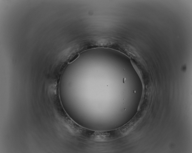 X0000089930368200707061044