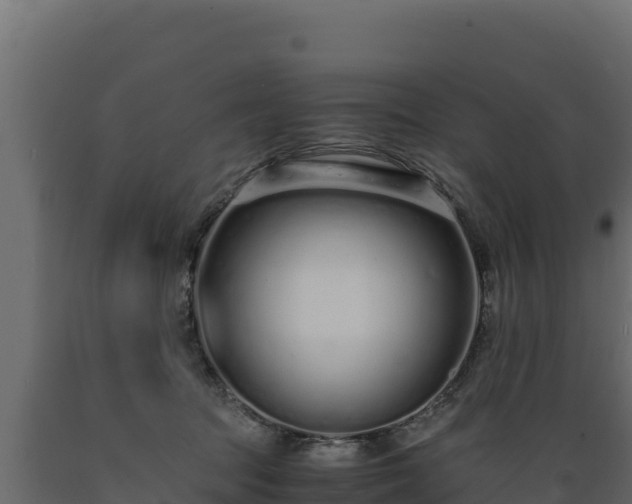 X0000089930369200707061044