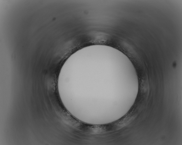 X0000089930370200707061044