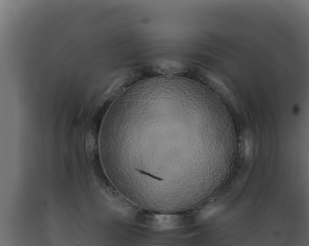 X0000089930371200707061044