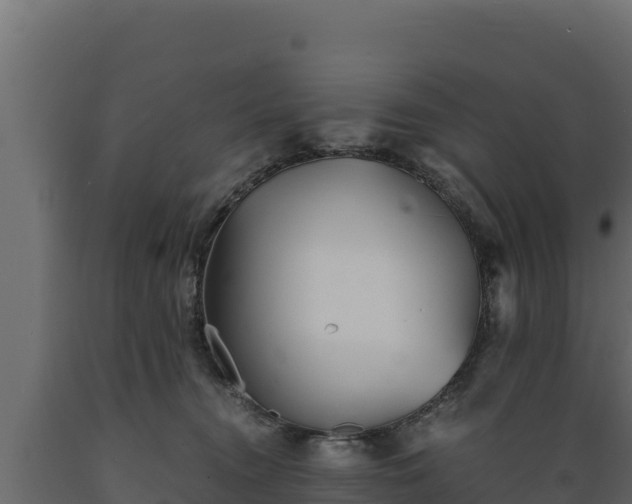 X0000089930372200707061044