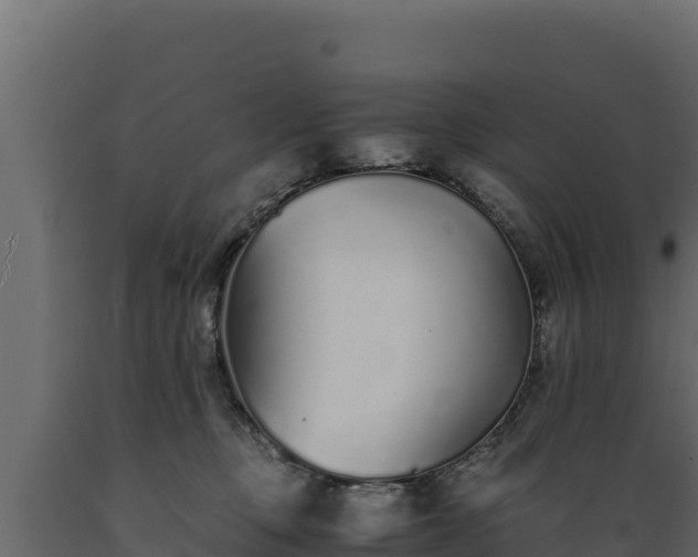 X0000089930373200707061044