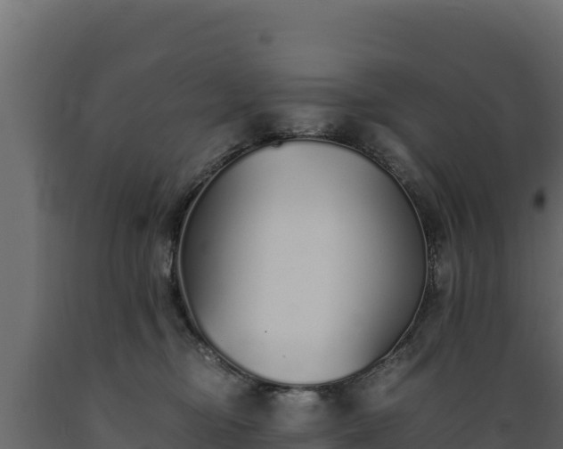 X0000089930374200707061044