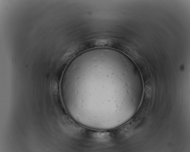 X0000089930375200707061044