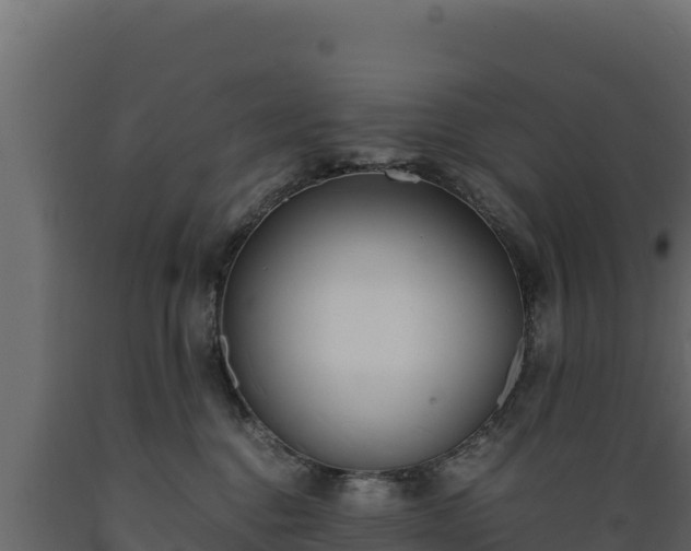 X0000089930376200707061044