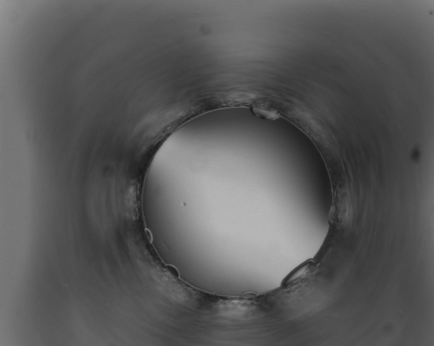 X0000089930378200707061044