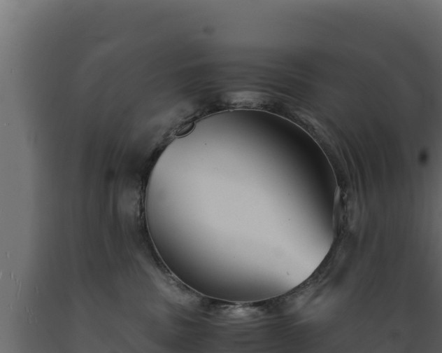 X0000089930379200707061044