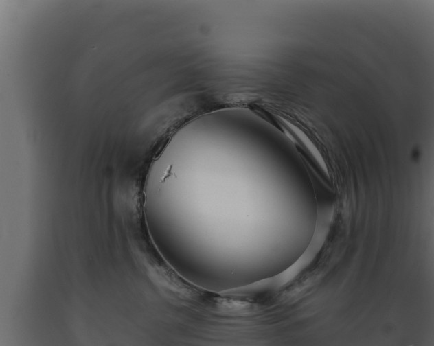 X0000089930380200707061044