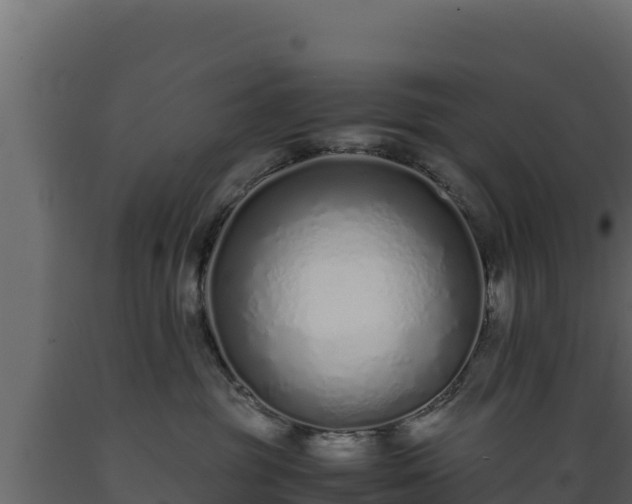 X0000089930381200707061044