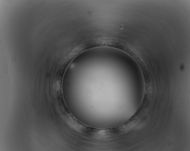 X0000089930382200707061044