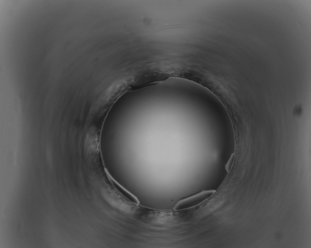 X0000089930384200707061044