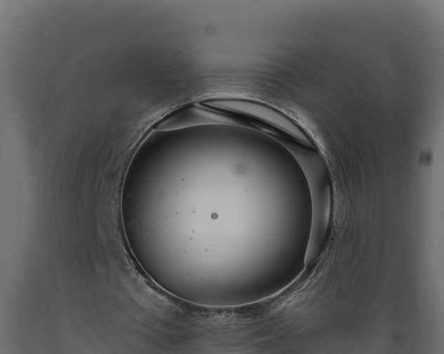 X0000089930385200707061044