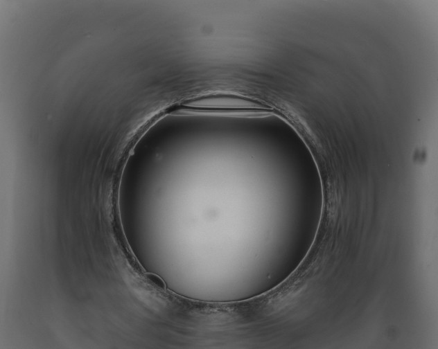 X0000089930386200707061044