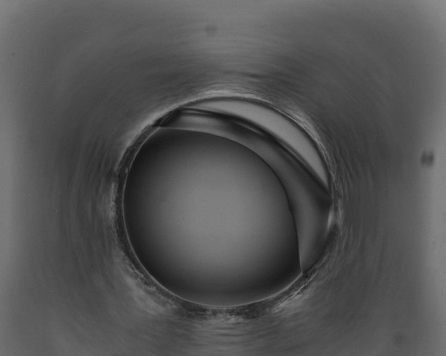 X0000089930387200707061044