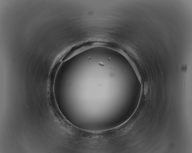 X0000089930388200707061044