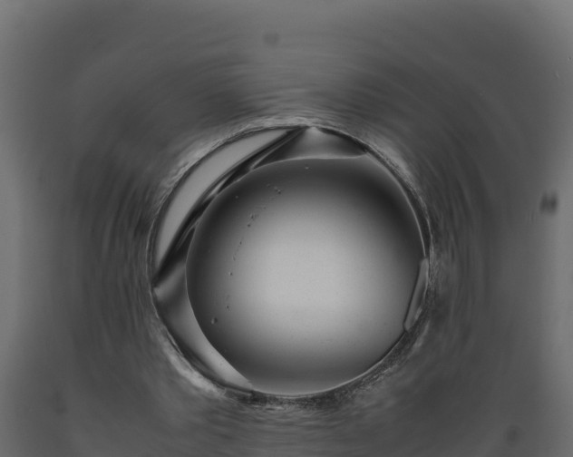 X0000089930389200707061044