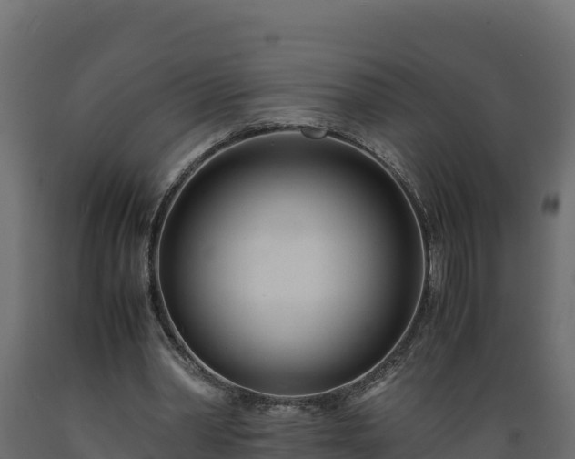 X0000089930390200707061044