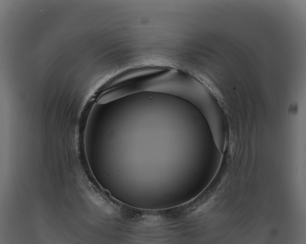 X0000089930391200707061044