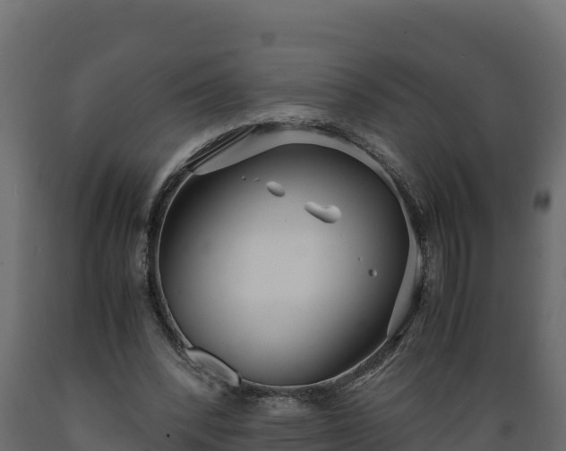 X0000089930392200707061044