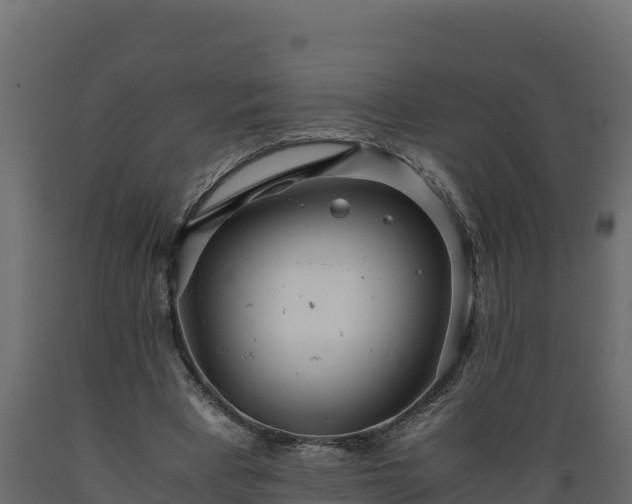 X0000089930393200707061044