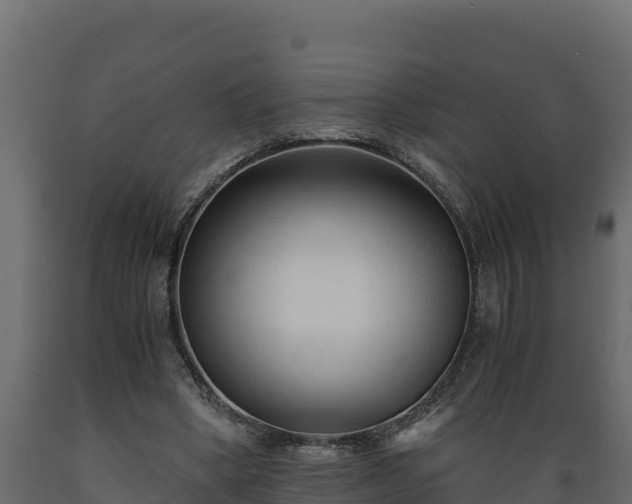 X0000089930394200707061044