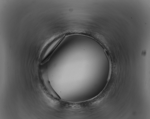 X0000089930395200707061044