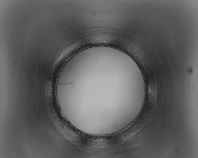 X0000089930396200707061044