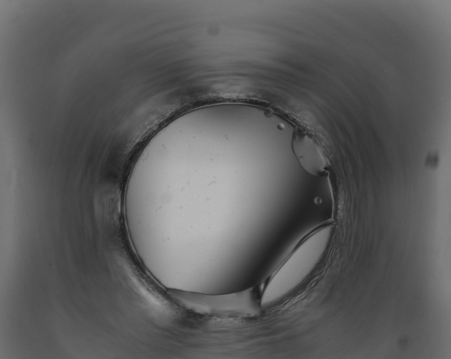 X0000089930397200707061044