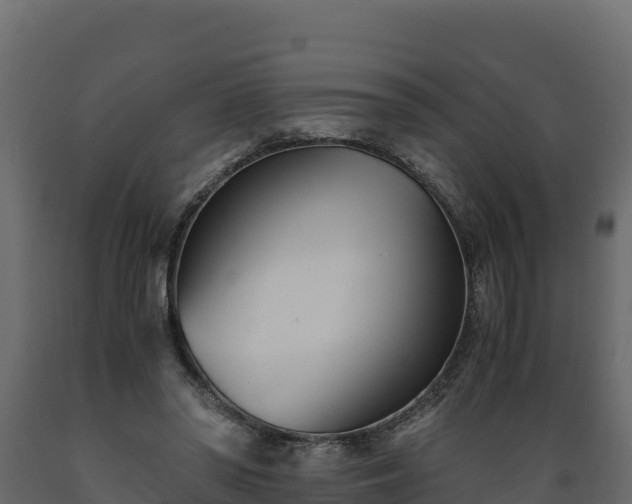 X0000089930398200707061044