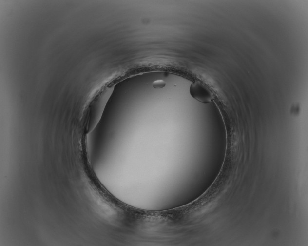 X0000089930399200707061044