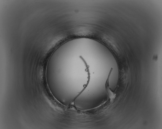 X0000089930400200707061044