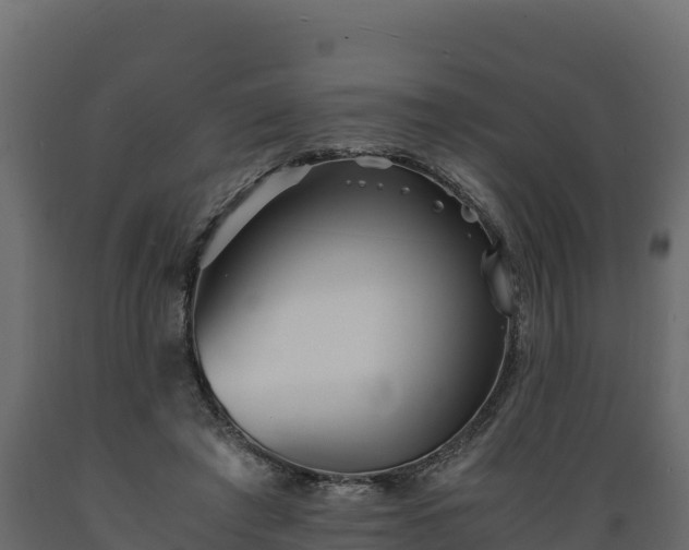 X0000089930401200707061044