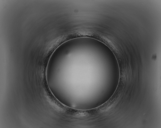 X0000089930402200707061044