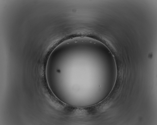 X0000089930403200707061044