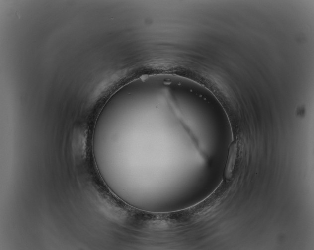 X0000089930404200707061044