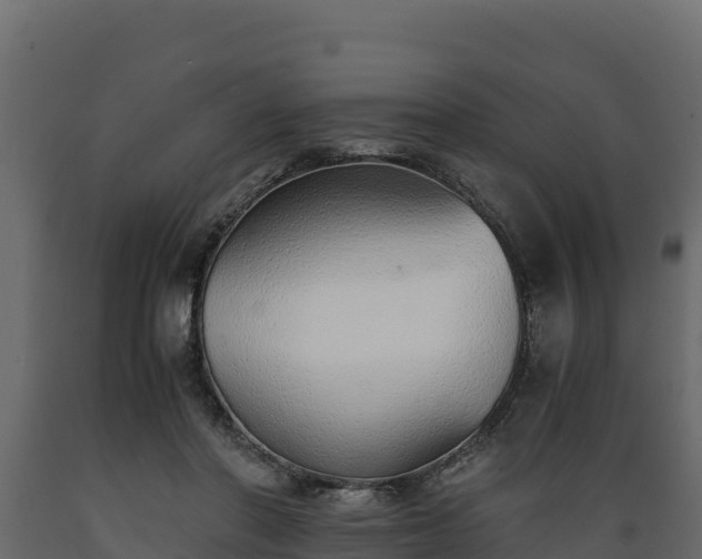 X0000089930406200707061044